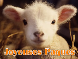 Image Agneau Pascal