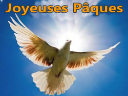 Colombe Paques