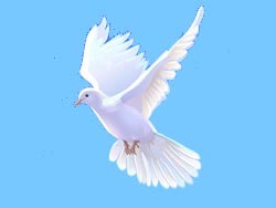 Image Colombe de P�ques