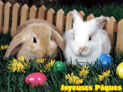 Image Lapin de P�ques