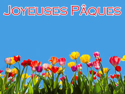 Image Fleurs de P�ques